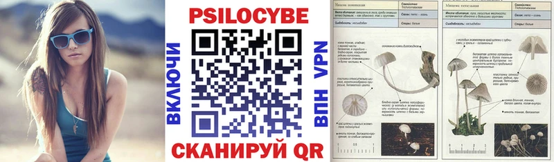 где купить наркоту  это официальный сайт  Псилоцибиновые грибы Cubensis  Богданович 