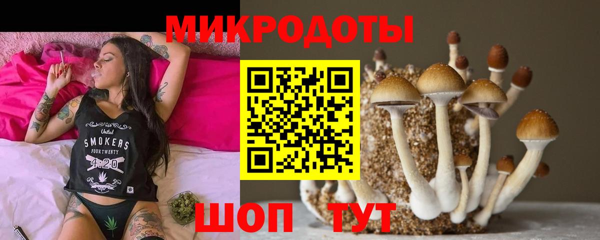Богданович  Псилоцибиновые грибы Psilocybe  Галлюциногенные грибы прущие грибы  Вход с VPN 