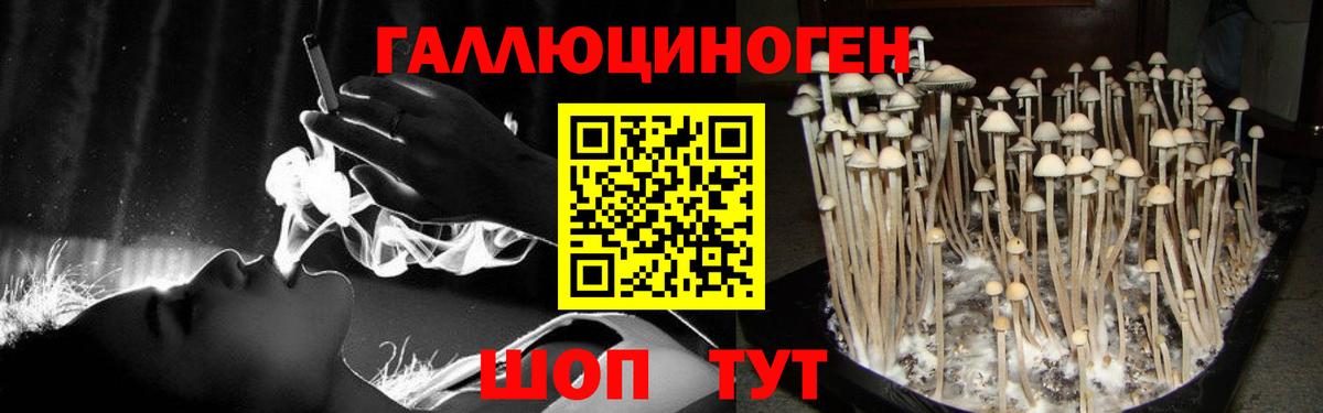 Псилоцибиновые грибы ЛСД Богданович